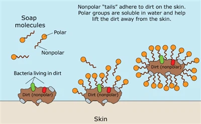 Antibakteriyel Sabun Ne İşe Yarar?